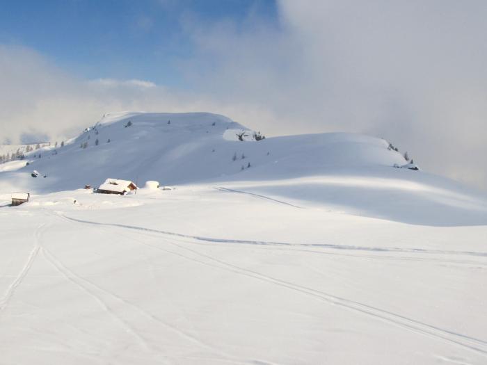 51adfbe00ab42_marmolada27032013013.jpg