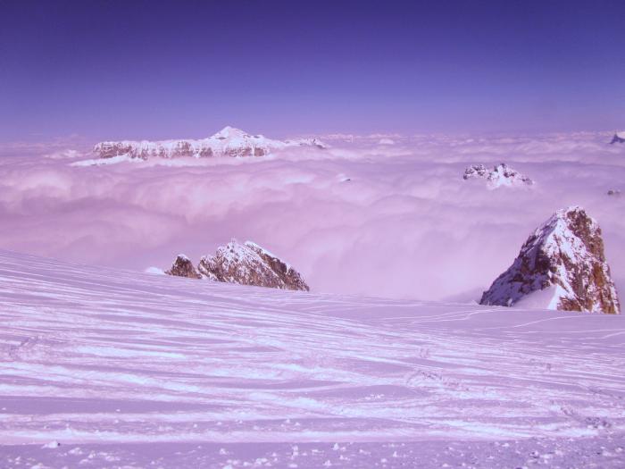 51adfe9e0f3a8_marmolada27032013030.jpg