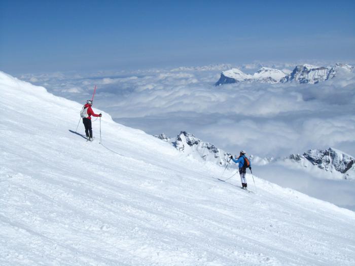 51adff074844e_marmolada27032013029.jpg