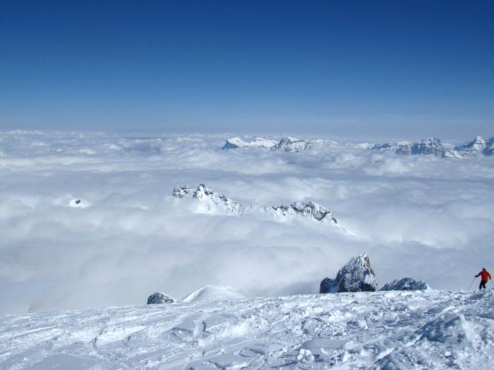 51adff33951e0_marmolada27032013027.jpg