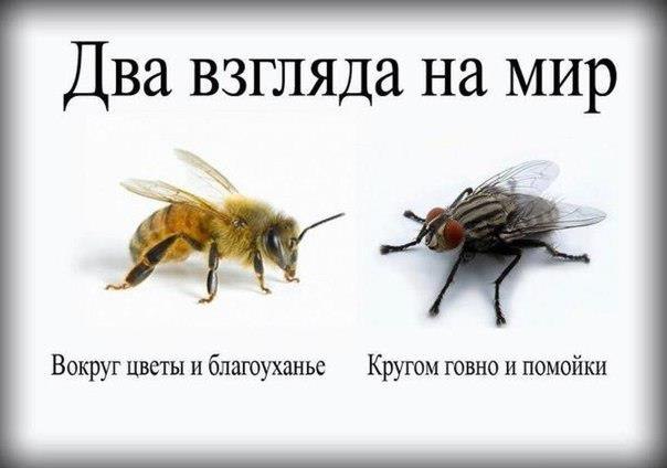 535ecdf6d5d4e_.jpg