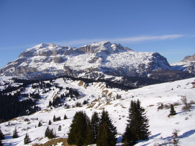 P1000541.JPG