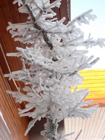 IMG_1197.JPG
