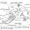 рисунок 02.jpg