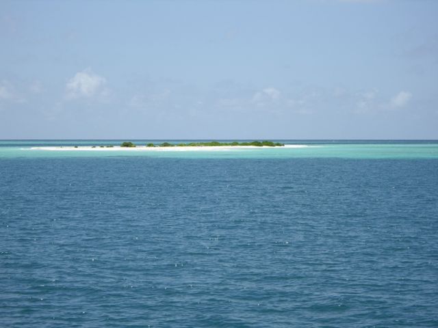 IMGP2116.JPG