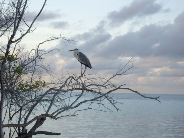 IMGP2061.JPG