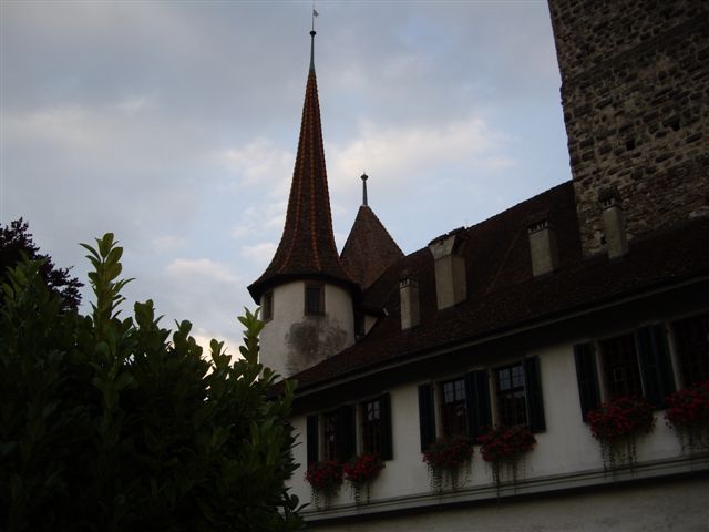 IMGP2403.JPG