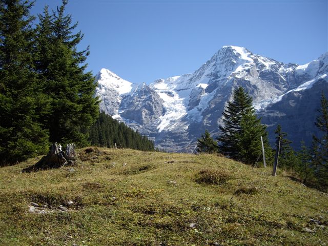 IMGP2229.JPG