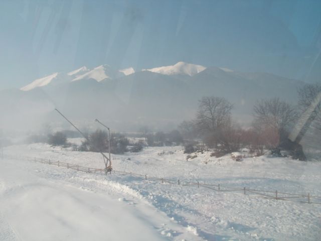PICT0068.JPG
