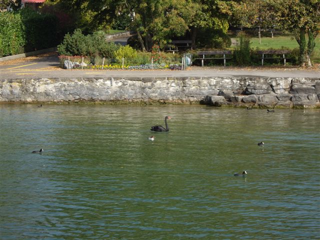 IMGP2563.JPG