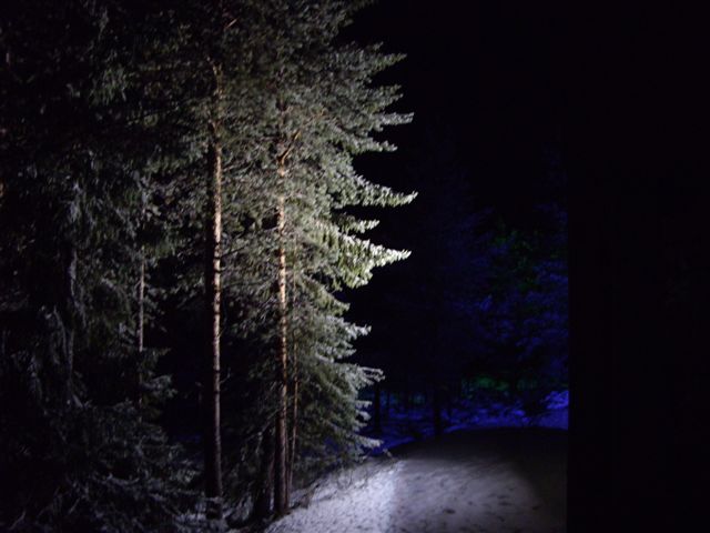 IMGP2748.JPG