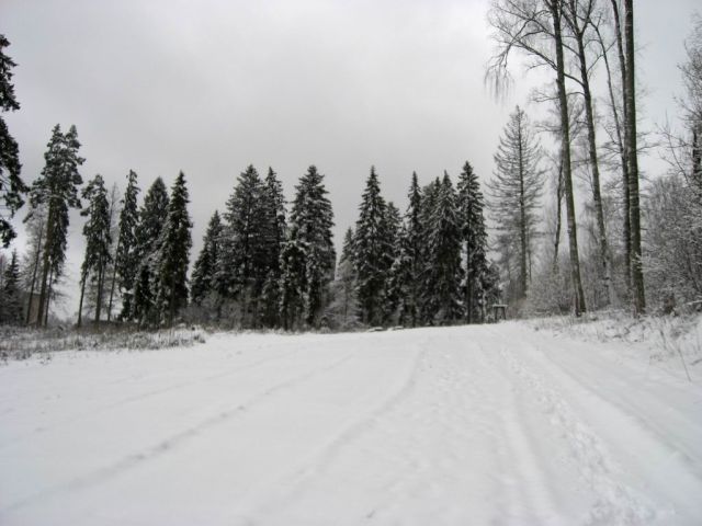 Склон на базе отдыха