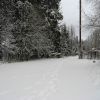 Эти следы на снегу ведут к горке рядом с базой отдыха