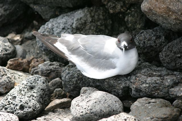 CRW_1838_RJ.JPG