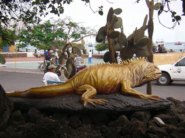 IMGP4173.JPG