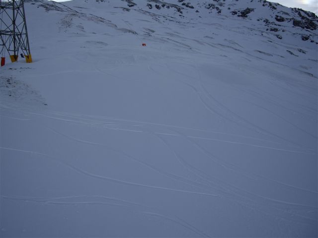 IMGP2946.JPG