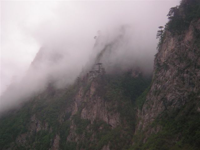 IMGP1208.JPG