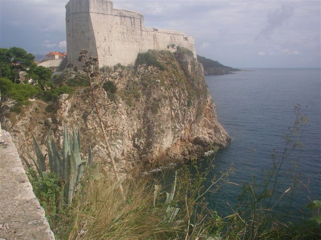 IMGP1162.JPG