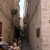 IMGP1137.JPG