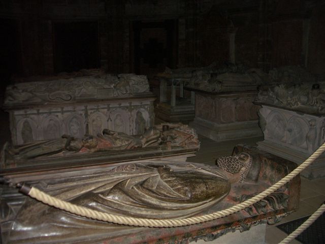 IMGP0067 1.JPG