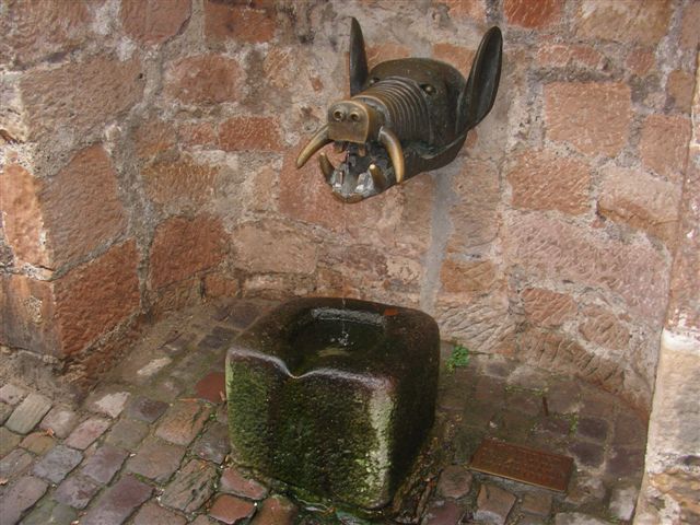 кабаний водопой.jpg