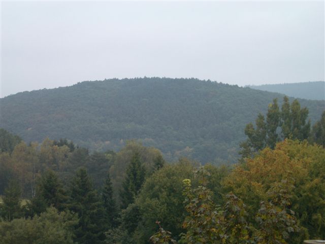 IMGP0100 1.JPG