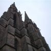 IMGP0062 2.JPG