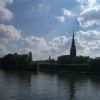 IMGP0132 1.JPG