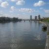 IMGP0130 1.JPG