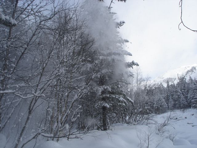 ФФФ 012.jpg