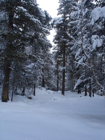 ФФФ 004.jpg