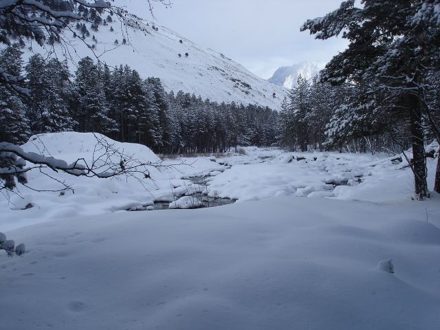 ФФФ 010.jpg