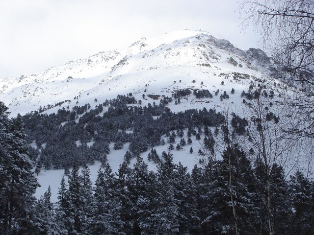 ФФФ 005.jpg