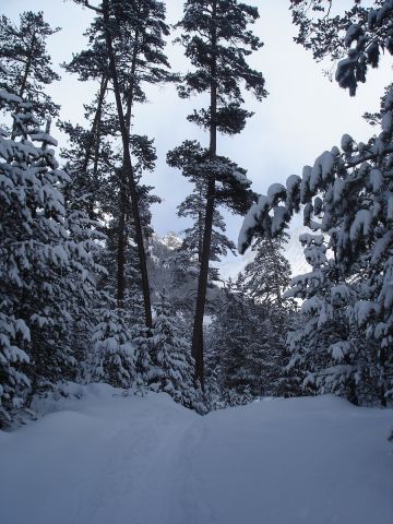 ФФФ 009.jpg