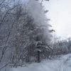 ФФФ 012.jpg