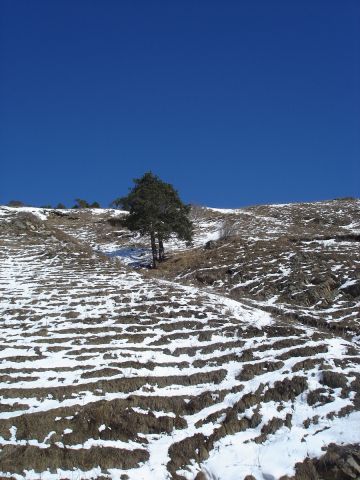 ФФФ 037.jpg