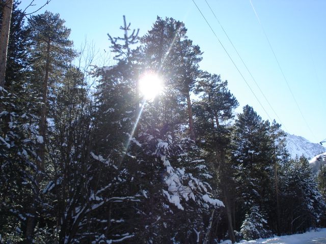 ФФФ 045.jpg