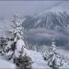 Cham-Jan-06-108.jpg