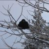 Cham-Jan-06-151.jpg