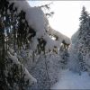 Cham-Jan-06-181.jpg