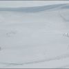 DSC_7112.jpg
