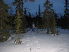 Хибины / апрель 2006 г. / катание со снегоходами.