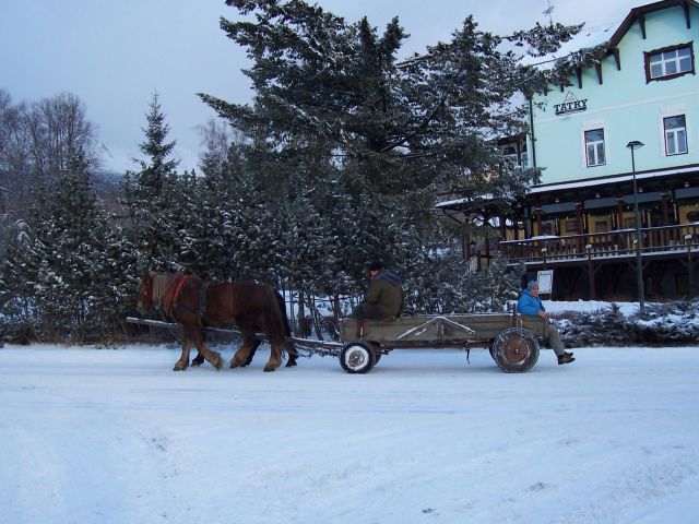 100_1747.JPG