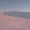 P1000093.jpg