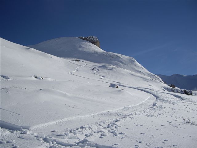IMGP3332.JPG