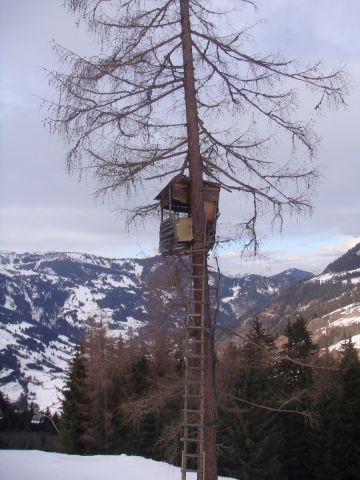 Dotfgastein1