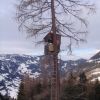 Dotfgastein1