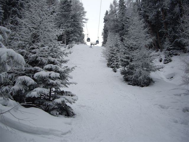 IMGP3193.JPG