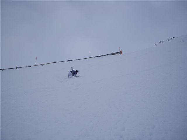 IMGP3316.JPG