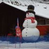 IMGP3319.JPG